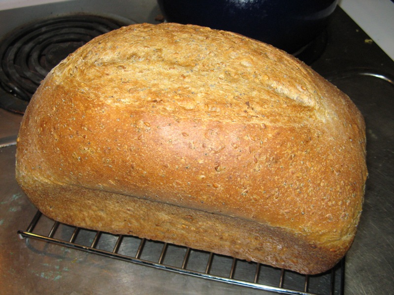 Sunflower, Poppy, Flax Seed Bread The Fresh Loaf